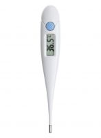 thermometer 