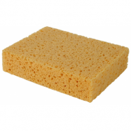 Spons